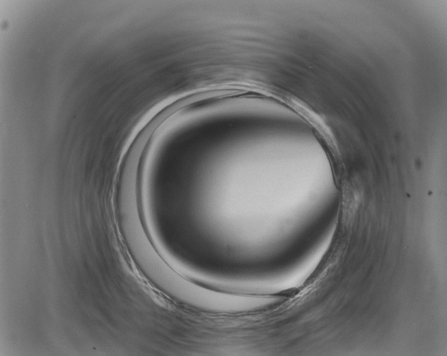 X0000084050956200702161503