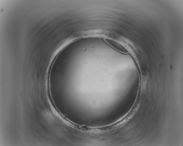 X0000084050957200702161504