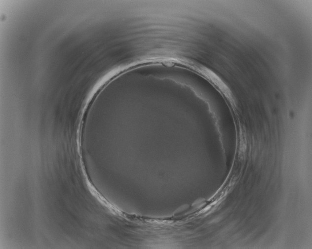 X0000084050958200702161504