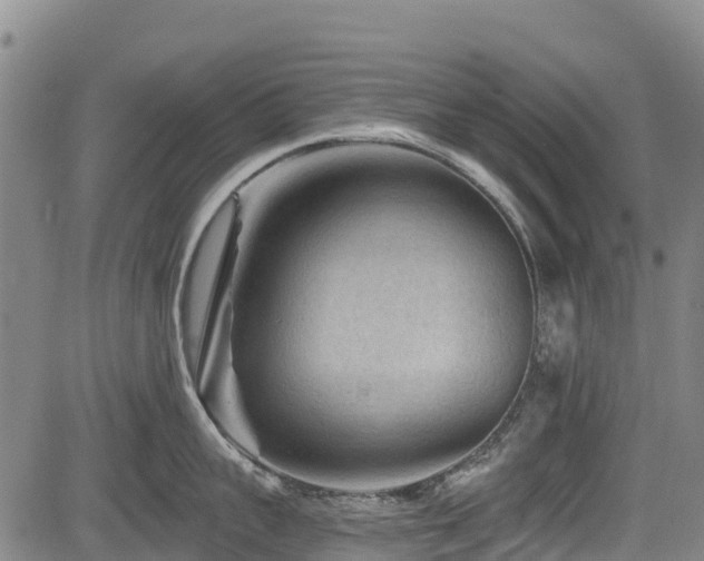 X0000084050959200702161504