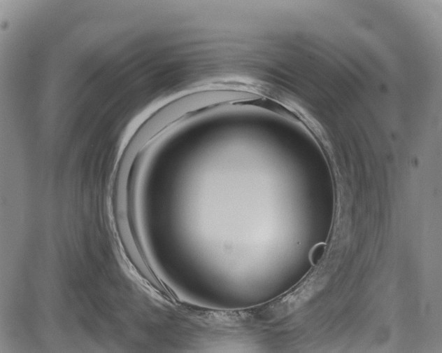 X0000084050960200702161504