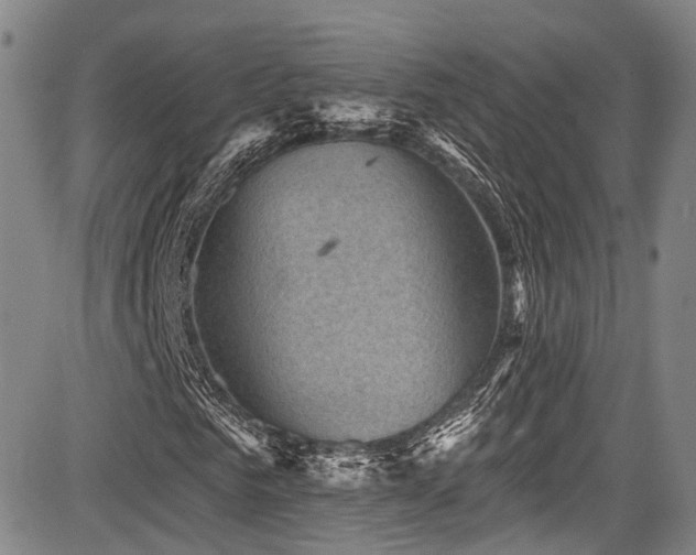 X0000084050961200702161503