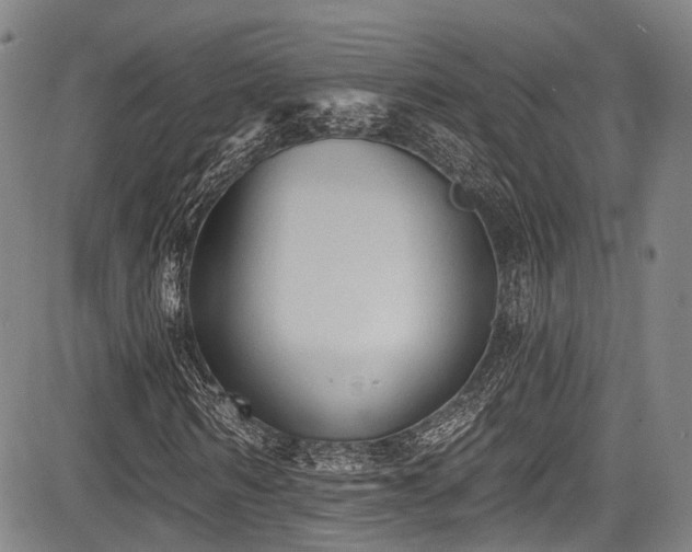 X0000084050962200702161503