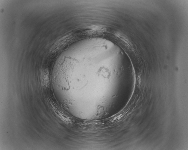 X0000084050963200702161503