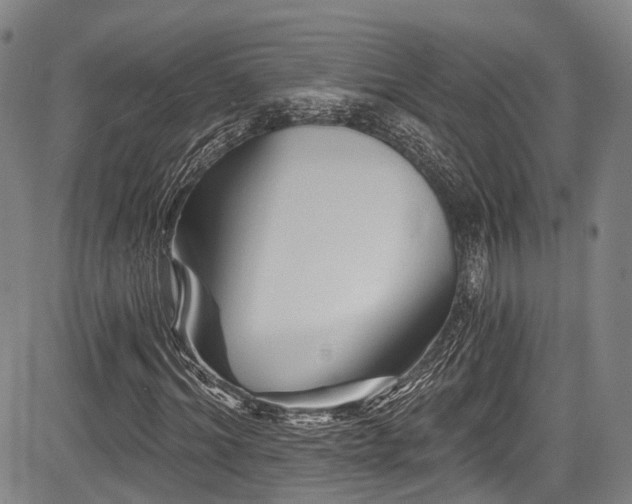 X0000084050964200702161503