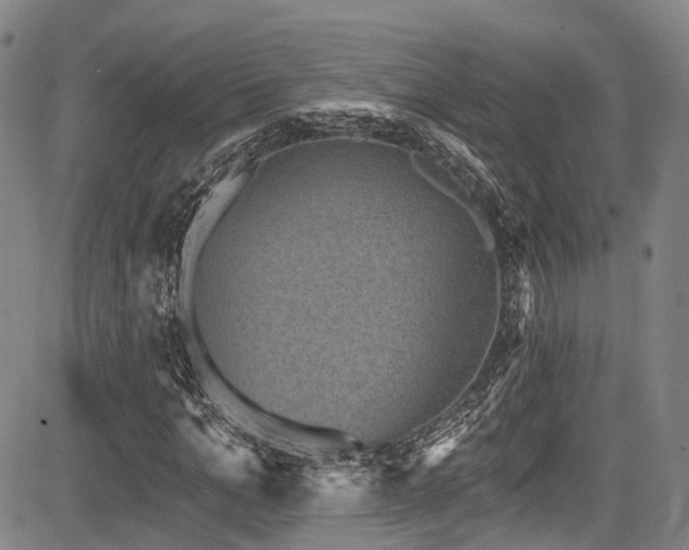 X0000084050965200702161503