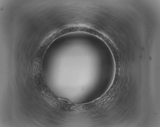 X0000084050967200702161503