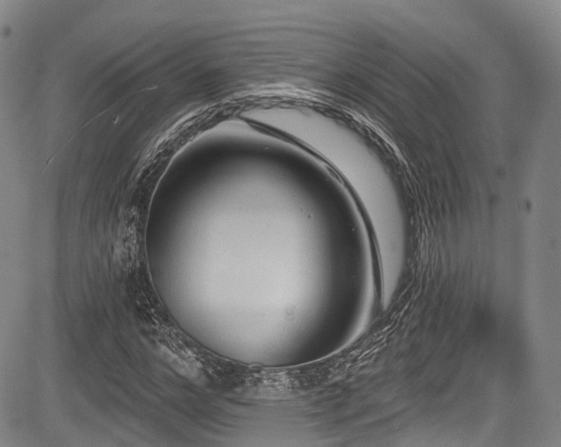 X0000084050968200702161503