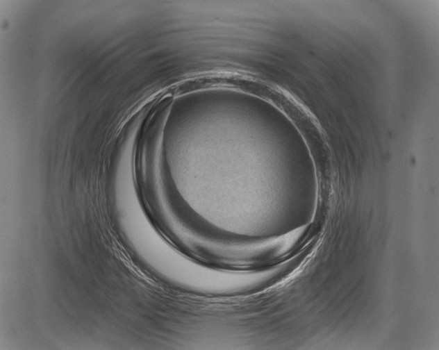 X0000084050969200702161503