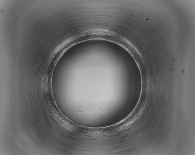 X0000084050970200702161503