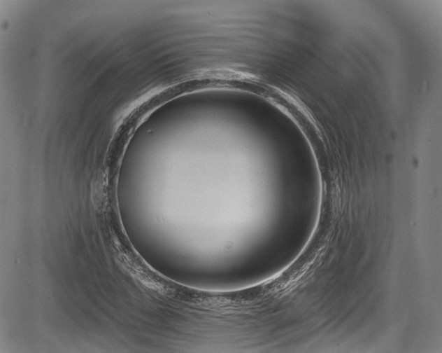 X0000084050971200702161503