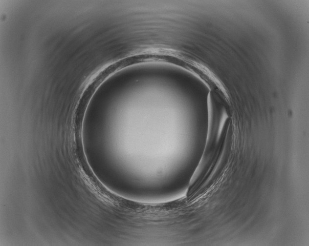 X0000084050972200702161503