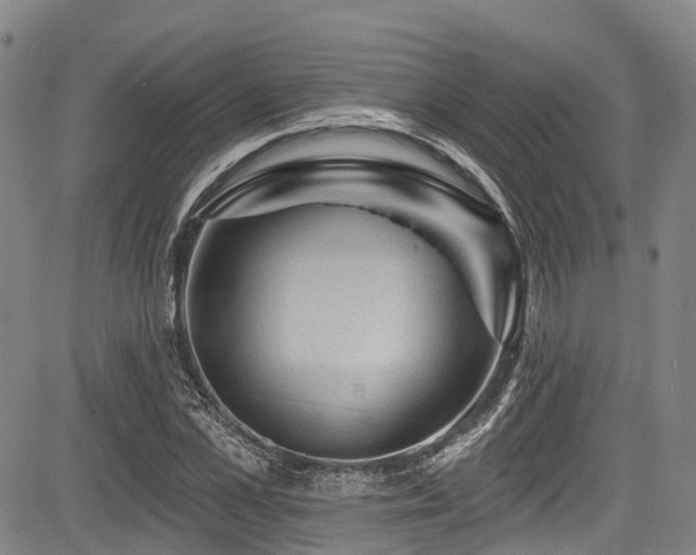 X0000084050973200702161503