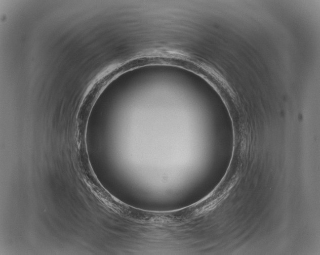 X0000084050974200702161503