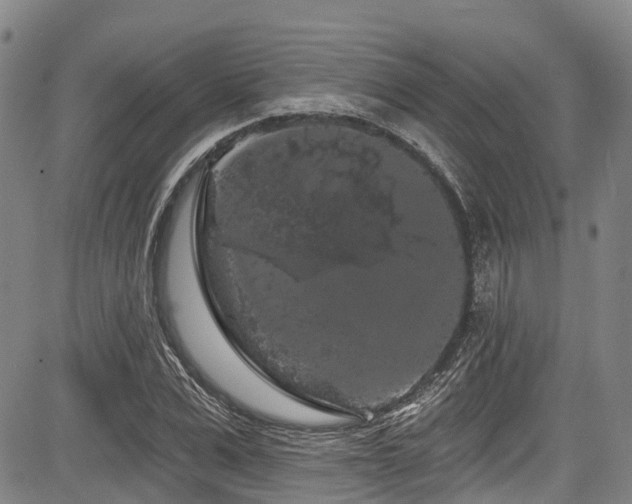 X0000084050975200702161503