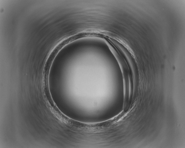 X0000084050976200702161503