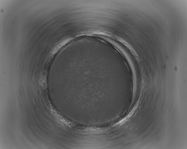 X0000084050977200702161503