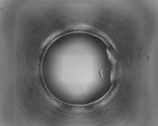 X0000084050978200702161503