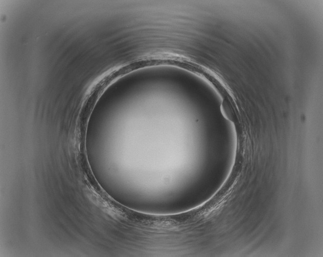 X0000084050979200702161502