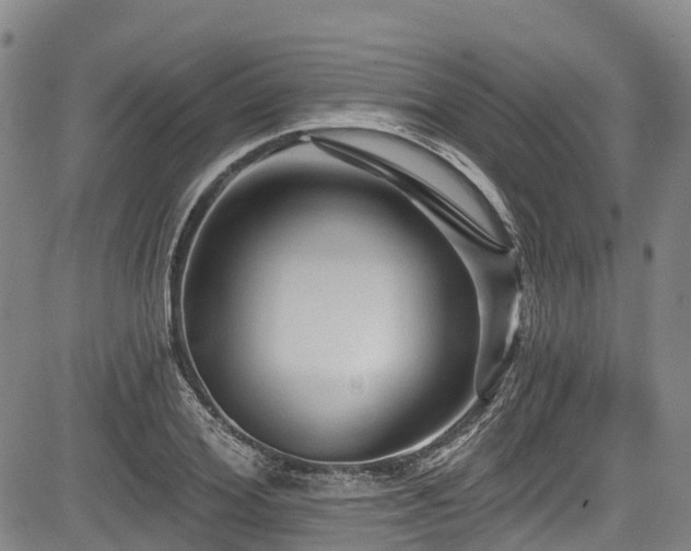 X0000084050980200702161502