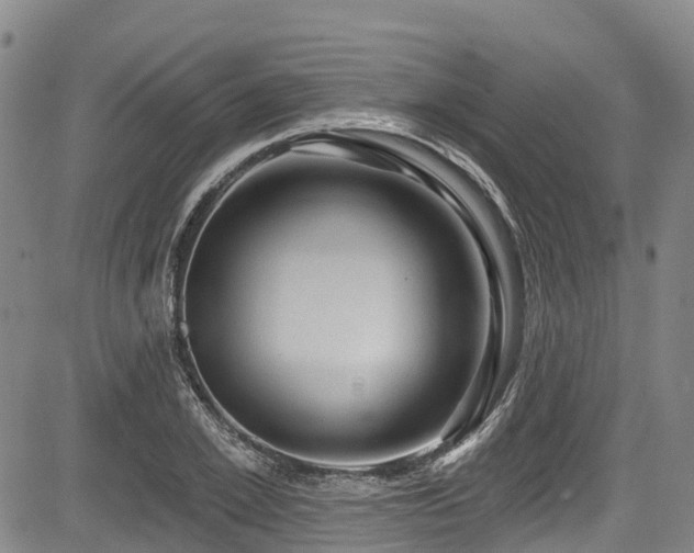 X0000084050981200702161502