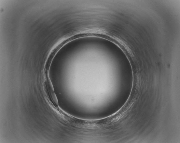 X0000084050982200702161502