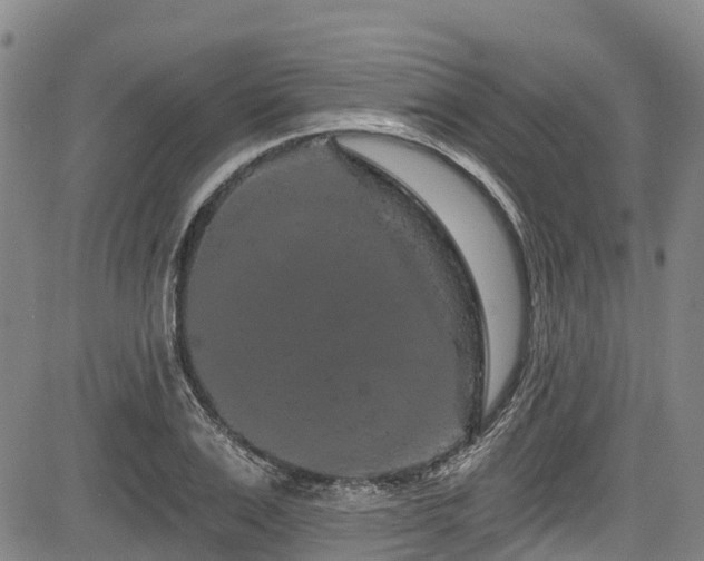 X0000084050983200702161502