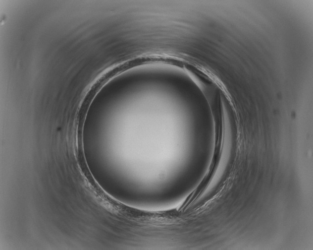 X0000084050984200702161502