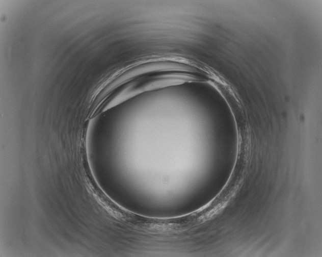 X0000084050985200702161502