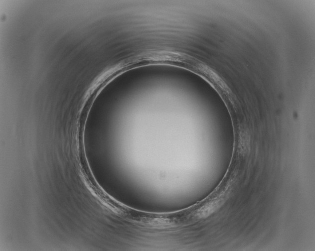 X0000084050986200702161502