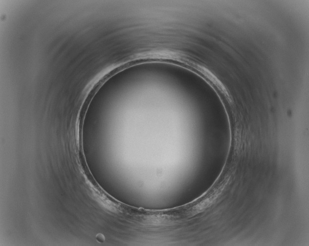 X0000084050988200702161502