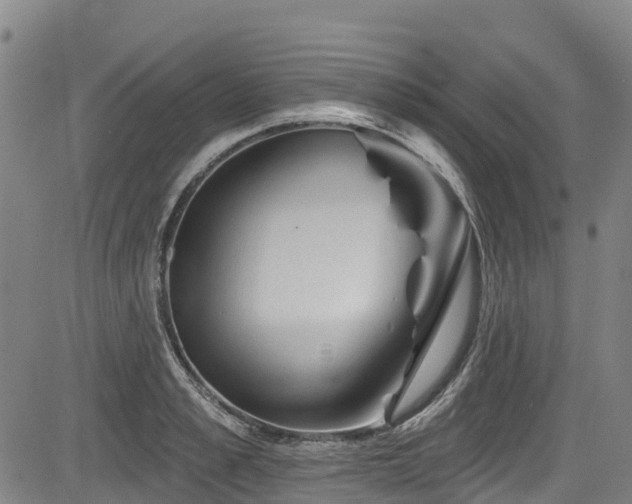 X0000084050989200702161502