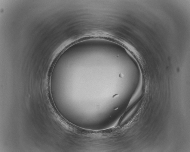 X0000084050990200702161502