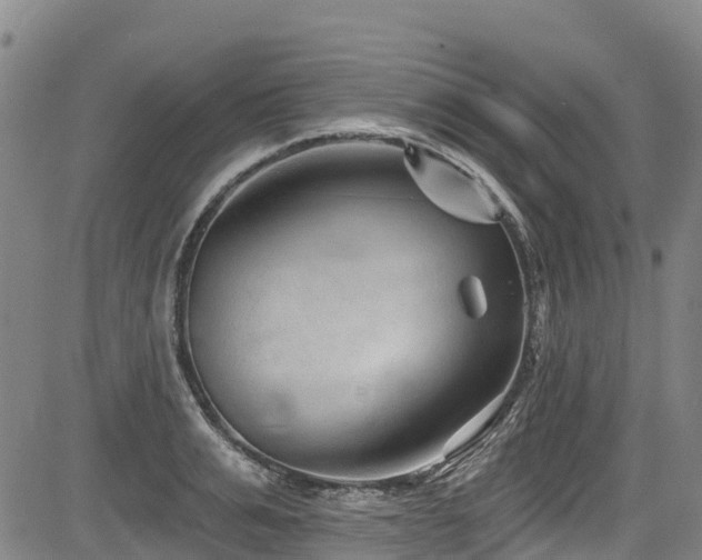 X0000084050991200702161502