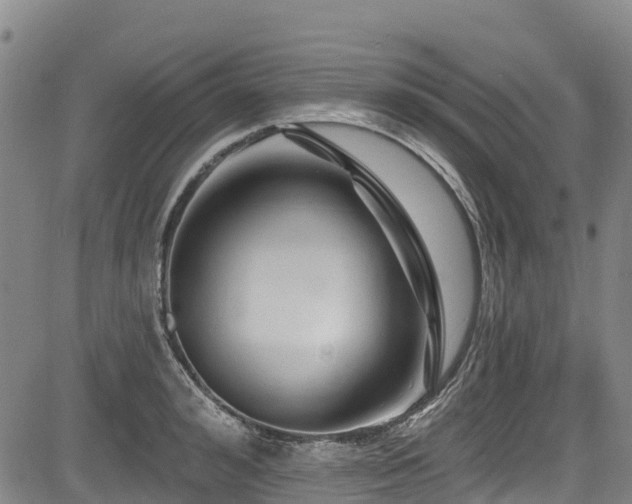 X0000084050992200702161502