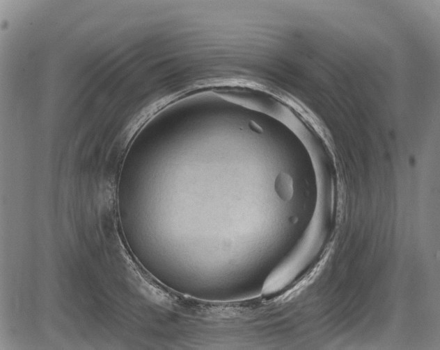 X0000084050993200702161502