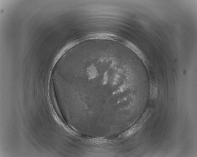 X0000084050994200702161502