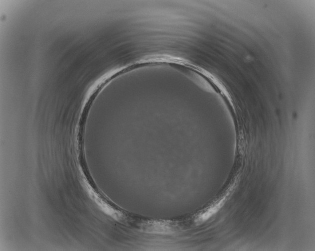 X0000084050995200702161502