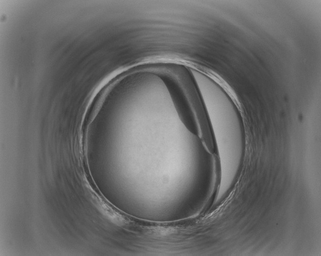 X0000084050996200702161502