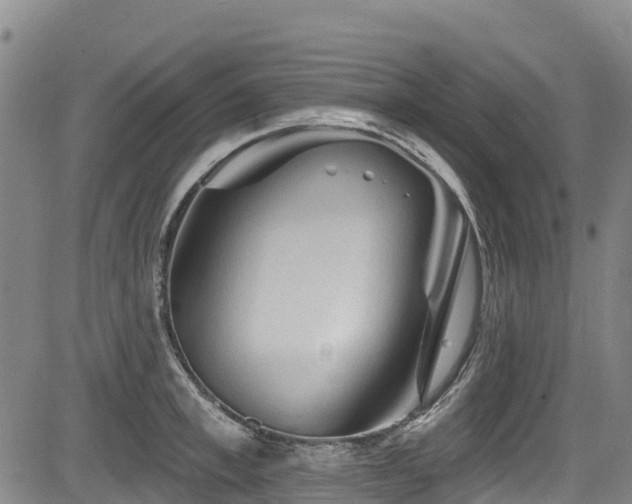 X0000084050997200702161502