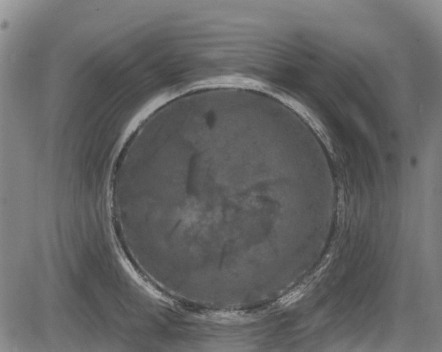 X0000084050998200702161502