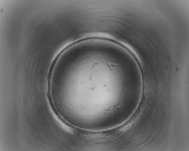 X0000084050999200702161502