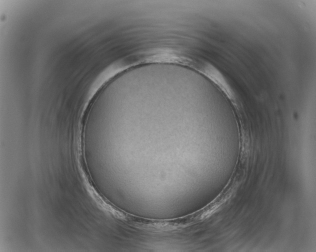 X0000084051000200702161502