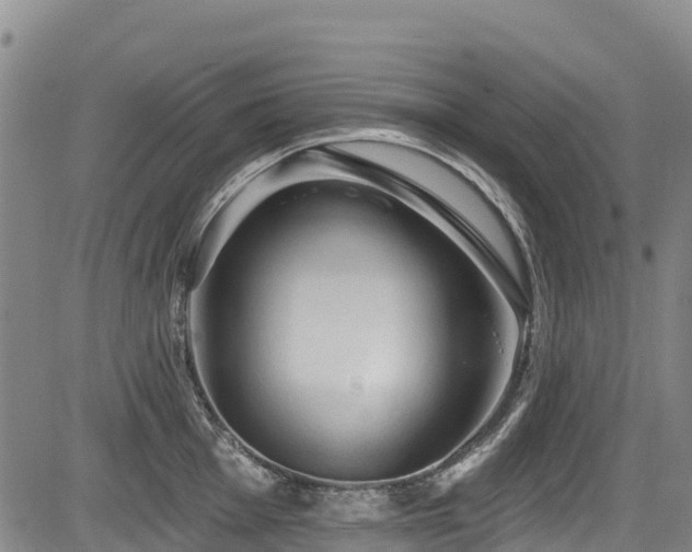 X0000084051001200702161502