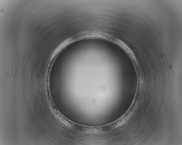 X0000084051002200702161502