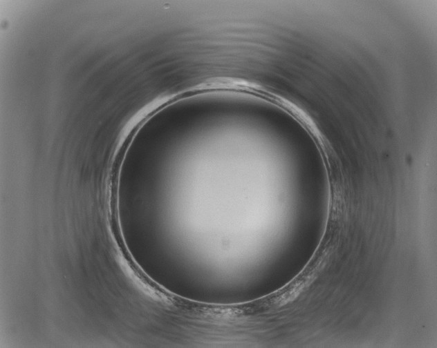 X0000084051003200702161502