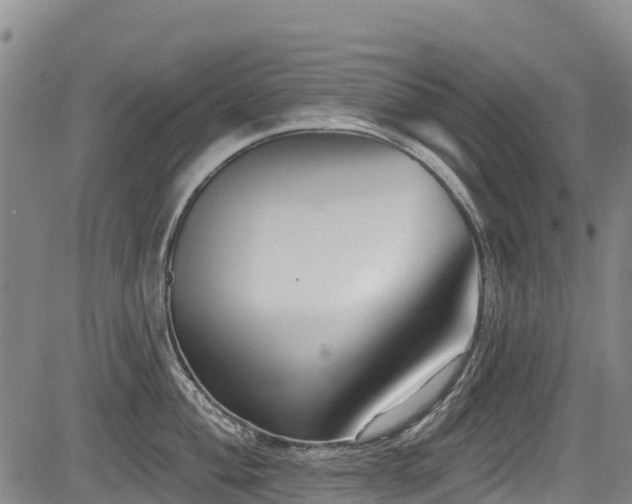 X0000084051004200702161502