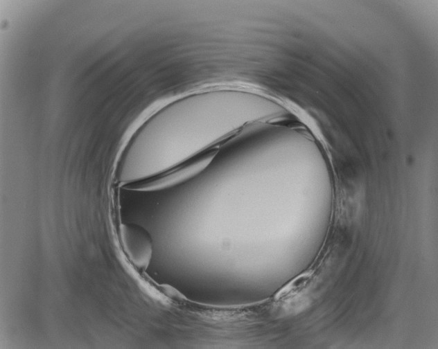 X0000084051005200702161502