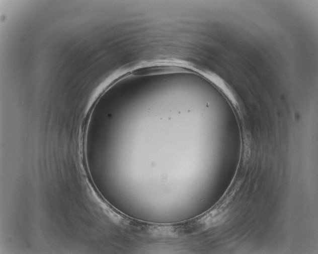 X0000084051006200702161502