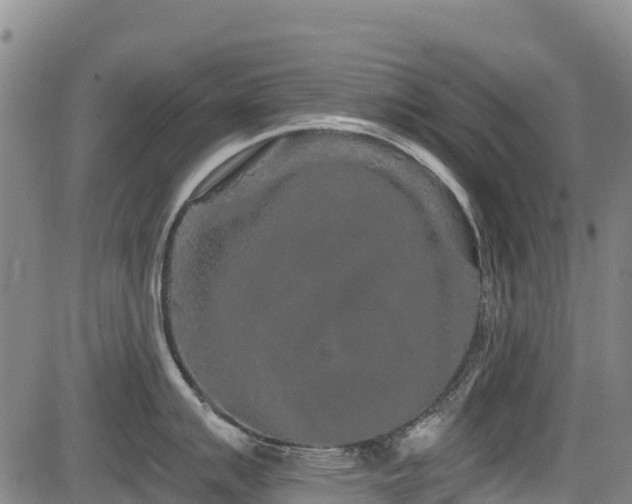 X0000084051007200702161502